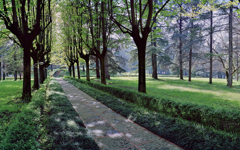 HOTEL DELLE ROSE TERME&WELLNESS